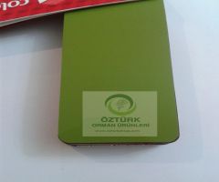 Parlak Ye�il Panel